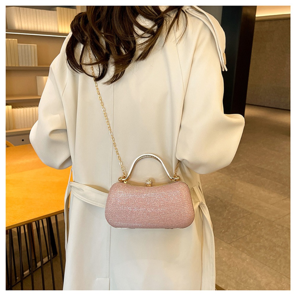 Chain Evening Bag Luxury Dinne - огляд і ціна Luxury Bags Old Money