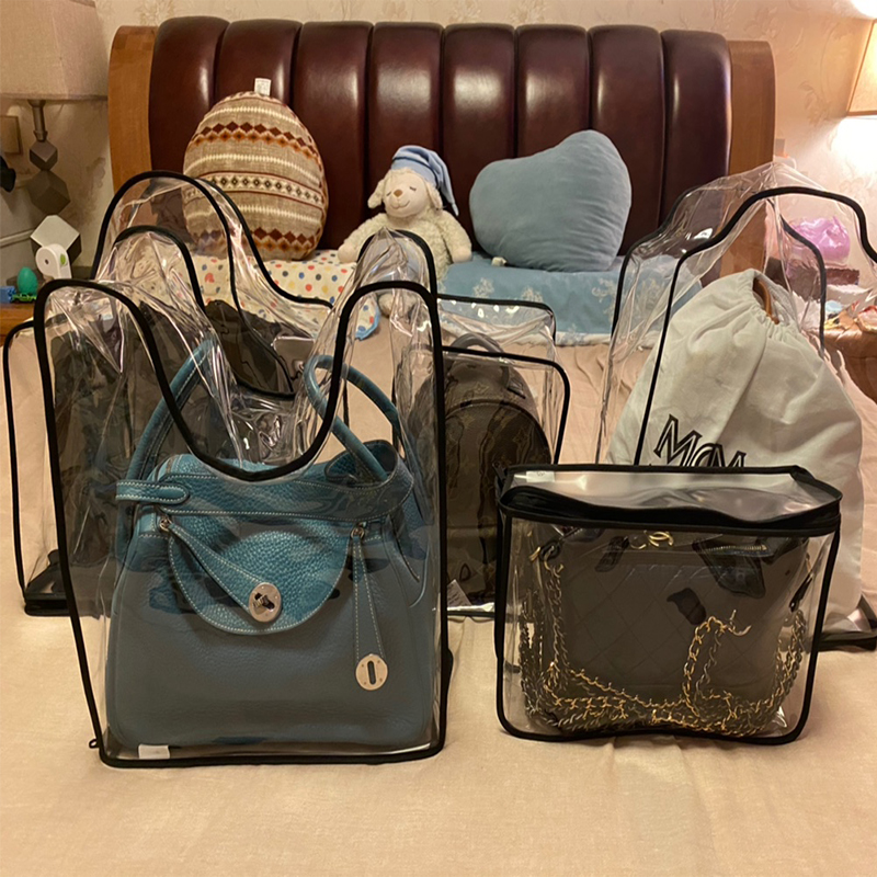 Transparent LV Bag Storage Bag - огляд і ціна Luxury Bags Lv